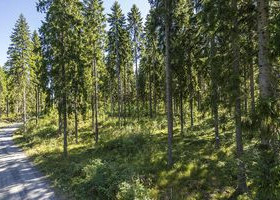 5100m², Vaimaroisen rak Kortteli 3, Tontti 2, Häme, Tontit, Hämeenlinna, Tori.fi 5100m², Vaimaroisen rak Kortteli 3, Tontti 2, Häme, Tontit, Hämeenlinna, Tori.fi