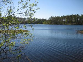 5000m², Suomussalmi, Merkkivirta(4/3), Kortteli 4,, Tontit, Suomussalmi, Tori.fi 5000m², Suomussalmi, Merkkivirta(4/3), Kortteli 4,, Tontit, Suomussalmi, Tori.fi