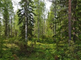 1705m², Paljakan rakennuskaava (80/1) Kortteli80/T, Tontit, Puolanka, Tori.fi 1705m², Paljakan rakennuskaava (80/1) Kortteli80/T, Tontit, Puolanka, Tori.fi