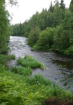 2.5 ha, Loejoentie 279, Tervola, Tontit, Tervola, Tori.fi 2.5 ha, Loejoentie 279, Tervola, Tontit, Tervola, Tori.fi