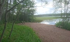 4000m², Peltoniementie 316/1, Salo, Tontit, Salo, Tori.fi 4000m², Peltoniementie 316/1, Salo, Tontit, Salo, Tori.fi