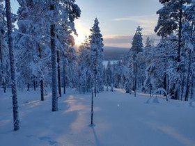 1500m², Soutajakankaantie, Pelkosenniemi, Tontit, Pelkosenniemi, Tori.fi 1500m², Soutajakankaantie, Pelkosenniemi, Tontit, Pelkosenniemi, Tori.fi