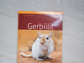 Gerbiilit, Jyrsijät, Lemmikkieläimet, Hämeenlinna, Tori.fi Gerbiilit, Jyrsijät, Lemmikkieläimet, Hämeenlinna, Tori.fi