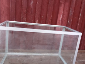 Terraario, Kalat ja akvaariot, Lemmikkieläimet, Oulu, Tori.fi Terraario, Kalat ja akvaariot, Lemmikkieläimet, Oulu, Tori.fi