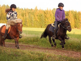 Kaksi shettistä vailla ratsastajia Pyhtäällä, Hevoset ja ponit, Hevoset ja hevosurheilu, Pyhtää, Tori.fi Kaksi shettistä vailla ratsastajia Pyhtäällä, Hevoset ja ponit, Hevoset ja hevosurheilu, Pyhtää, Tori.fi