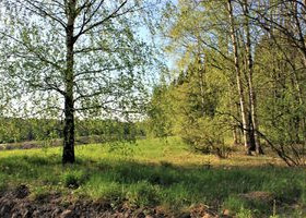1245m², Tuuliviirinkuja 3, Vihti, Tontit, Vihti, Tori.fi 1245m², Tuuliviirinkuja 3, Vihti, Tontit, Vihti, Tori.fi