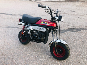 Suzuki pv 50, Mopot, Moto, Lahti, Tori.fi Suzuki pv 50, Mopot, Moto, Lahti, Tori.fi