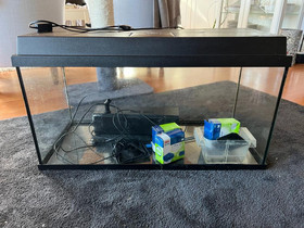Akvaario Juwel 100l, Kalat ja akvaariot, Lemmikkieläimet, Kirkkonummi, Tori.fi Akvaario Juwel 100l, Kalat ja akvaariot, Lemmikkieläimet, Kirkkonummi, Tori.fi