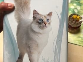 Royal Canin peltipurkki, Kissojen tarvikkeet, Lemmikkieläimet, Imatra, Tori.fi Royal Canin peltipurkki, Kissojen tarvikkeet, Lemmikkieläimet, Imatra, Tori.fi