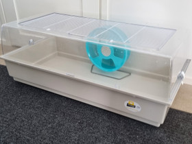 Hamsterin häkki ja juoksupyörä, Muut eläintarvikkeet, Lemmikkieläimet, Kajaani, Tori.fi Hamsterin häkki ja juoksupyörä, Muut eläintarvikkeet, Lemmikkieläimet, Kajaani, Tori.fi