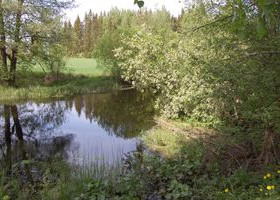 5750m², Koskitie 84, Tammela, Tontit, Tammela, Tori.fi 5750m², Koskitie 84, Tammela, Tontit, Tammela, Tori.fi