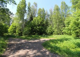 1.39 ha, Kuusitie 28, Luumäki, Tontit, Luumäki, Tori.fi 1.39 ha, Kuusitie 28, Luumäki, Tontit, Luumäki, Tori.fi