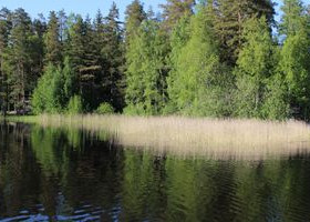 1780m², Häyhänniemi, Lappeenranta, Tontit, Lappeenranta, Tori.fi 1780m², Häyhänniemi, Lappeenranta, Tontit, Lappeenranta, Tori.fi