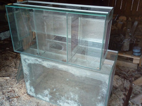 2 kpl terrarioita, Kalat ja akvaariot, Lemmikkieläimet, Laitila, Tori.fi 2 kpl terrarioita, Kalat ja akvaariot, Lemmikkieläimet, Laitila, Tori.fi
