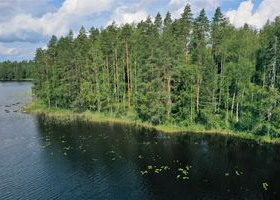 5200m², Viitasentie, Kouvola, Tontit, Kouvola, Tori.fi 5200m², Viitasentie, Kouvola, Tontit, Kouvola, Tori.fi