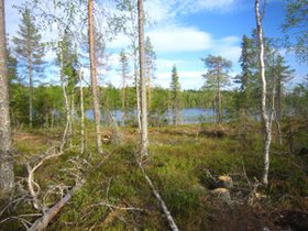 Lylykyläntie 201/80, Lylykylä, Puolanka, Metsätilat ja maatilat, Puolanka, Tori.fi Lylykyläntie 201/80, Lylykylä, Puolanka, Metsätilat ja maatilat, Puolanka, Tori.fi