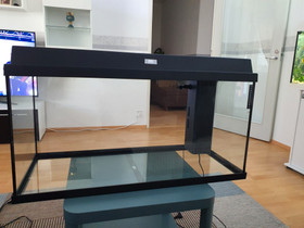 110 l akvaario, Kalat ja akvaariot, Lemmikkieläimet, Turku, Tori.fi 110 l akvaario, Kalat ja akvaariot, Lemmikkieläimet, Turku, Tori.fi