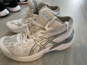 Asics huippusisäpelikengät, Pallopelit, Urheilu ja ulkoilu, Hausjärvi, Tori.fi Asics huippusisäpelikengät, Pallopelit, Urheilu ja ulkoilu, Hausjärvi, Tori.fi