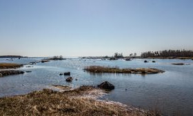 1.33 ha, Västanlandet 14, Närpiö, Tontit, Närpiö, Tori.fi 1.33 ha, Västanlandet 14, Närpiö, Tontit, Närpiö, Tori.fi