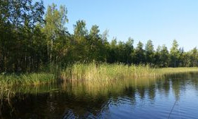 3000m², Käävänniementie tontti 1, Savonlinna, Tontit, Savonlinna, Tori.fi 3000m², Käävänniementie tontti 1, Savonlinna, Tontit, Savonlinna, Tori.fi