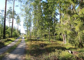 2500m², Lillsundintie, Pietarsaari, Tontit, Pietarsaari, Tori.fi 2500m², Lillsundintie, Pietarsaari, Tontit, Pietarsaari, Tori.fi