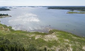 2 ha, Töjby skäriväg 195, Närpiö, Tontit, Närpiö, Tori.fi 2 ha, Töjby skäriväg 195, Närpiö, Tontit, Närpiö, Tori.fi