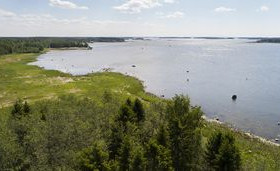 2 ha, Töjby skäriväg 193, Närpiö, Tontit, Närpiö, Tori.fi 2 ha, Töjby skäriväg 193, Närpiö, Tontit, Närpiö, Tori.fi