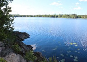 4705m², Pantterikorventie, Pori, Tontit, Pori, Tori.fi 4705m², Pantterikorventie, Pori, Tontit, Pori, Tori.fi