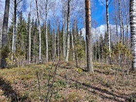 10000m², Kerniementie 223, Taipalsaari, Tontit, Taipalsaari, Tori.fi 10000m², Kerniementie 223, Taipalsaari, Tontit, Taipalsaari, Tori.fi