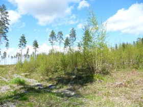 5000m², Vanhakyläntie 1061 T 1, Loviisa, Tontit, Loviisa, Tori.fi