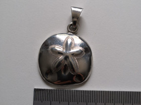 Sand dollar kaulakoru, Kellot ja korut, Asusteet ja kellot, Hollola, Tori.fi Sand dollar kaulakoru, Kellot ja korut, Asusteet ja kellot, Hollola, Tori.fi