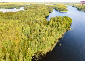 5500m², Kaamalantie 43, Mikkeli, Tontit, Mikkeli, Tori.fi 5500m², Kaamalantie 43, Mikkeli, Tontit, Mikkeli, Tori.fi