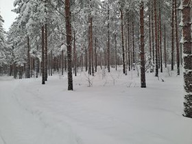 1.3 ha, Niemeläntie, Taipalsaari, Tontit, Taipalsaari, Tori.fi 1.3 ha, Niemeläntie, Taipalsaari, Tontit, Taipalsaari, Tori.fi