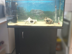 Akvaario / terraario ja kaappi, Kalat ja akvaariot, Lemmikkieläimet, Vantaa, Tori.fi Akvaario / terraario ja kaappi, Kalat ja akvaariot, Lemmikkieläimet, Vantaa, Tori.fi