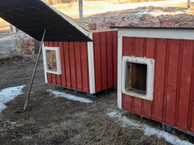 2kpl koiran koppeja, Koirien tarvikkeet, Lemmikkieläimet, Toholampi, Tori.fi 2kpl koiran koppeja, Koirien tarvikkeet, Lemmikkieläimet, Toholampi, Tori.fi