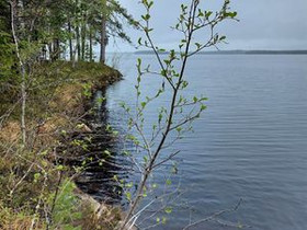 3793m², Laakajärvi, Metsäkukantie 3 Kortteli 3, to, Tontit, Sotkamo, Tori.fi 3793m², Laakajärvi, Metsäkukantie 3 Kortteli 3, to, Tontit, Sotkamo, Tori.fi