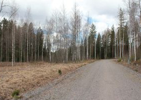 1685m², Lillukkapolku, Pukkila, Tontit, Pukkila, Tori.fi
