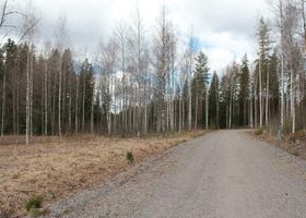 1685m², Lillukkapolku, Pukkila, Tontit, Pukkila, Tori.fi 1685m², Lillukkapolku, Pukkila, Tontit, Pukkila, Tori.fi