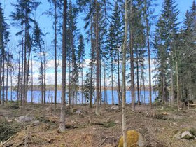 5158m², Karjusaarentie (Iso-Roine) 180, Hämeenlinn, Tontit, Hämeenlinna, Tori.fi 5158m², Karjusaarentie (Iso-Roine) 180, Hämeenlinn, Tontit, Hämeenlinna, Tori.fi