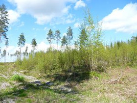 5000m², Vanhakyläntie 1061 T 3, Loviisa, Tontit, Loviisa, Tori.fi 5000m², Vanhakyläntie 1061 T 3, Loviisa, Tontit, Loviisa, Tori.fi