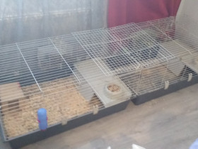 Kaksi häkkiä ja tarvikkeita, Muut eläintarvikkeet, Lemmikkieläimet, Pori, Tori.fi Kaksi häkkiä ja tarvikkeita, Muut eläintarvikkeet, Lemmikkieläimet, Pori, Tori.fi