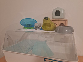 Miniduna+tarvikkeita, Jyrsijät, Lemmikkieläimet, Riihimäki, Tori.fi Miniduna+tarvikkeita, Jyrsijät, Lemmikkieläimet, Riihimäki, Tori.fi