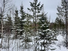 Perikankaantie, Perikangas, Oulainen, Metsätilat ja maatilat, Oulainen, Tori.fi Perikankaantie, Perikangas, Oulainen, Metsätilat ja maatilat, Oulainen, Tori.fi