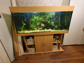 Akvaario- MP aquarien 540 l., Kalat ja akvaariot, Lemmikkieläimet, Salo, Tori.fi Akvaario- MP aquarien 540 l., Kalat ja akvaariot, Lemmikkieläimet, Salo, Tori.fi