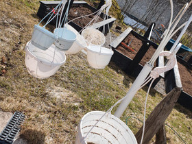 Amppeleita, Ruukut, kivet ja koristeet, Piha ja puutarha, Kotka, Tori.fi Amppeleita, Ruukut, kivet ja koristeet, Piha ja puutarha, Kotka, Tori.fi