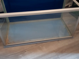 85L akvaario, Kalat ja akvaariot, Lemmikkieläimet, Espoo, Tori.fi 85L akvaario, Kalat ja akvaariot, Lemmikkieläimet, Espoo, Tori.fi
