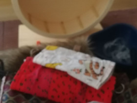 Juoksupyörä 28,5cm ja muuta tavaraa, Muut eläintarvikkeet, Lemmikkieläimet, Kotka, Tori.fi Juoksupyörä 28,5cm ja muuta tavaraa, Muut eläintarvikkeet, Lemmikkieläimet, Kotka, Tori.fi