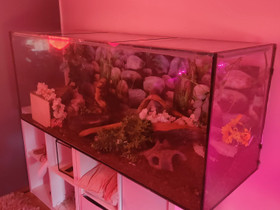 Terraario, Muut eläintarvikkeet, Lemmikkieläimet, Forssa, Tori.fi Terraario, Muut eläintarvikkeet, Lemmikkieläimet, Forssa, Tori.fi