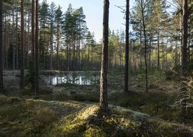 Kierikkalantie 235, Rusko, Tontit, Rusko, Tori.fi Kierikkalantie 235, Rusko, Tontit, Rusko, Tori.fi
