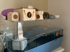Hamsterin häkki tarvikkeineen, Muut eläintarvikkeet, Lemmikkieläimet, Lahti, Tori.fi Hamsterin häkki tarvikkeineen, Muut eläintarvikkeet, Lemmikkieläimet, Lahti, Tori.fi